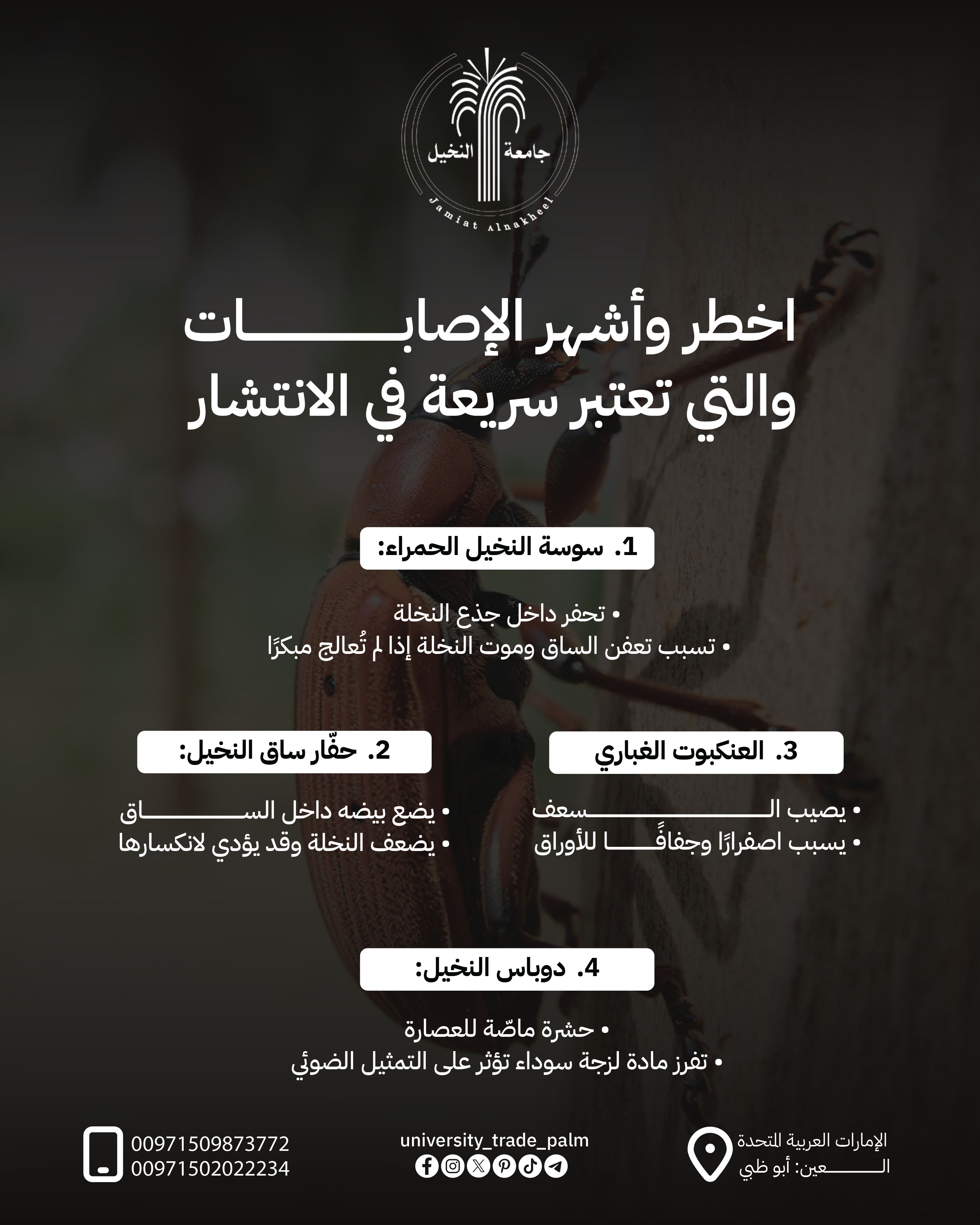 Protecting the Palm: A Guide to the 4 Most Dangerous Pests